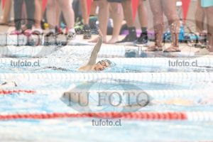 Image 1 libre V 00274