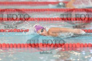 Image 1 libre V 00276