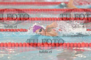 Image 1 libre V 00277