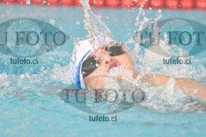 Image 1 libre V 00278