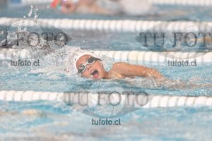 Image 1 libre V 00279