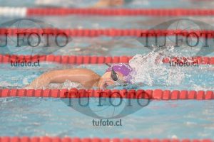 Image 1 libre V 00280