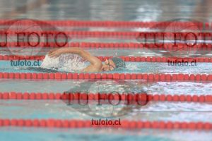 Image 1 libre V 00281