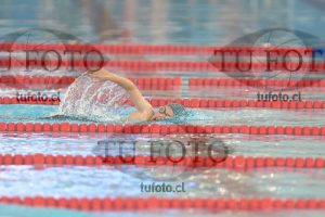 Image 1 libre V 00282