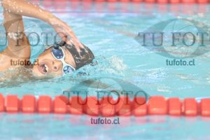 Image 1 libre V 00283