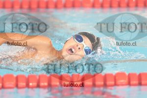 Image 1 libre V 00284