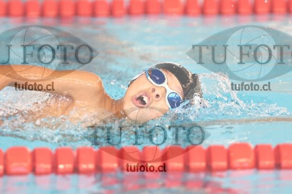 Image 1 libre V 00284