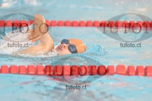 Image 1 libre V 00286