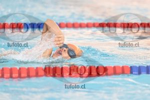 Image 1 libre V 00288