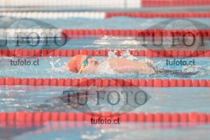 Image 1 libre V 00290