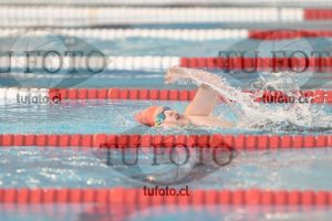 Image 1 libre V 00291