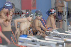 Image 1 libre V 00294