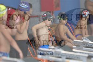 Image 1 libre V 00295