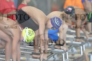 Image 1 libre V 00304