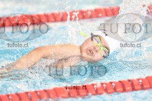 Image 1 libre V 00309