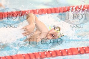 Image 1 libre V 00310