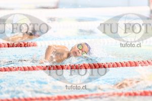 Image 1 libre V 00311