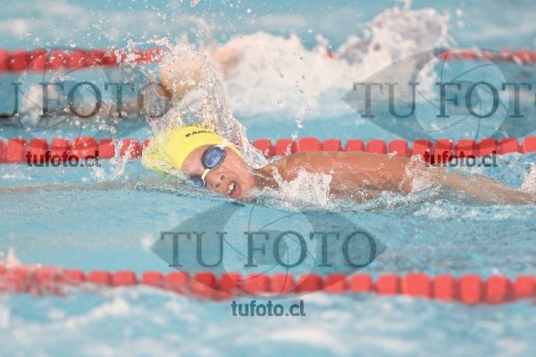 Image 1 libre V 00312