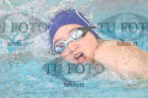 Image 1 libre V 00313