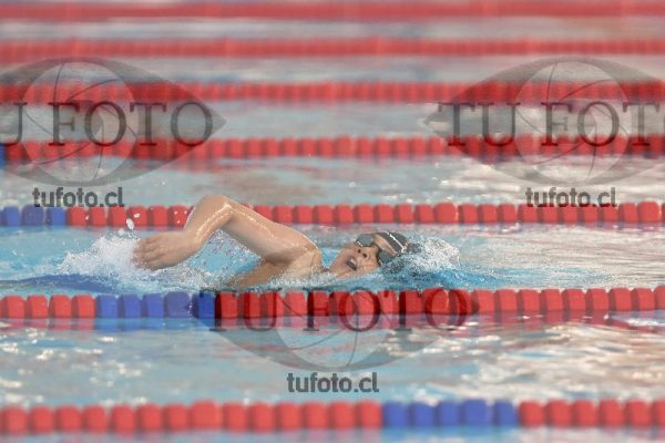 Image 1 libre V 00315