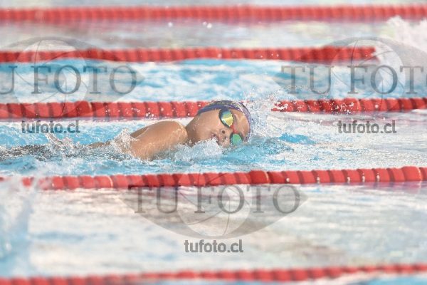 Image 1 libre V 00317