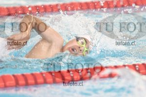 Image 1 libre V 00319