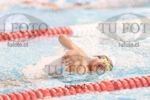 Image 1 libre V 00321