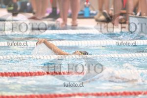 Image 1 libre V 00322