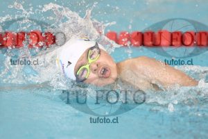 Image 1 libre V 00324