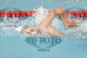Image 1 libre V 00325