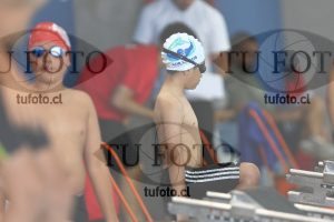 Image 1 libre V 00329