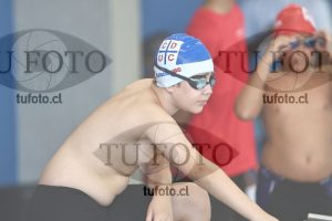 Image 1 libre V 00330