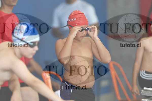 Image 1 libre V 00331