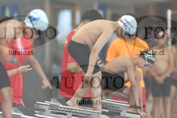 Image 1 libre V 00335