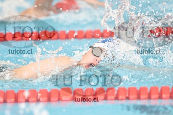 Image 1 libre V 00340