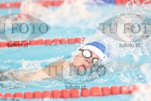 Image 1 libre V 00341
