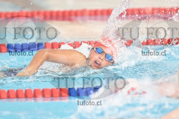 Image 1 libre V 00342