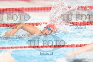 Image 1 libre V 00343