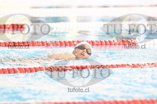 Image 1 libre V 00345