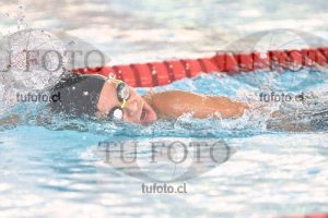 Image 1 libre V 00346