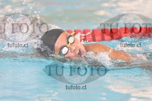 Image 1 libre V 00347