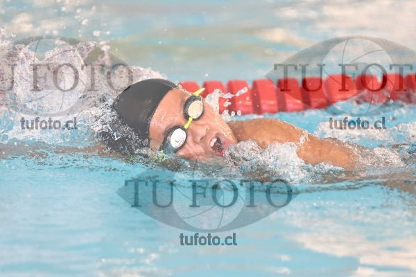Image 1 libre V 00347