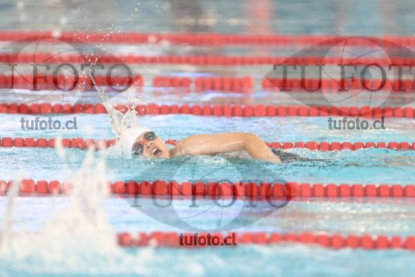 Image 1 libre V 00349