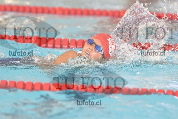 Image 1 libre V 00352