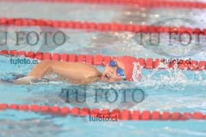 Image 1 libre V 00353