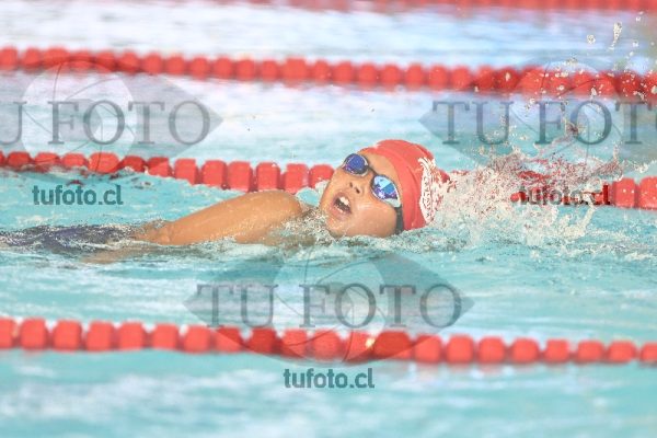 Image 1 libre V 00354