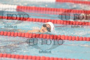 Image 1 libre V 00355