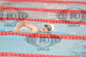 Image 1 libre V 00356