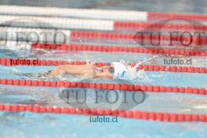 Image 1 libre V 00357