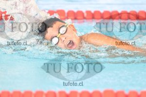 Image 1 libre V 00359
